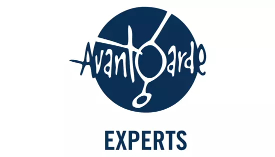 Pressefach von Avantgarde Experts