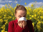 Die Hasel lanciert die Pollensaison – später als üblich