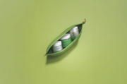 Nachhaltig schön: Manor bietet vielfältiges Green Beauty-Angebot