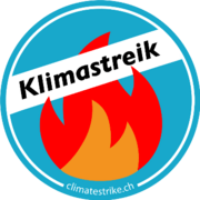 Klimastreik Jubiläum an diesem Freitag, 17. Januar, mit Njoki, Greta und Aktivist*innen aus mehreren Ländern in Lausanne