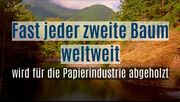 Luzerner Start-Up bringt Papier und Karton aus landwirtschaftlichen Abfällen mittels Crowdfunding in die Schweiz
