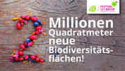 Mission B: Zwei Millionen Quadratmeter Biodiversität
