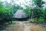 CHAKANA unterstützt den Wiederaufbau eines Naturheilzentrums im Amazonas