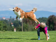 Europameisterschaft im Hundefrisbee