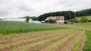   Pro Natura unterstützt die Ernährungsinitiative