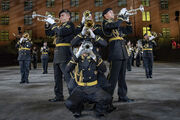 Wiedersehen mit Freude: Publikumslieblinge zurück am Basel Tattoo