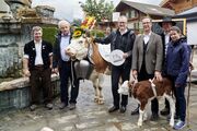 Gründung Verein «Original Simmentaler» – Förderung von Schweizer Zweinutzungskuh-Rasse