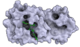 Strukturen von Proteinen des Coronavirus mit Schweizer Technologie gelöst