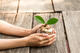 Handlungsbedarf im Bereich Sustainable Finance