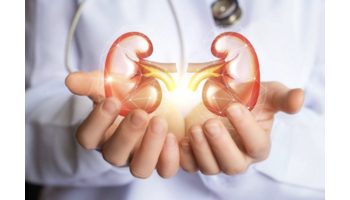 Nieren und Herz - das lebenswichtige Duo, das sich gegenseitig belastet