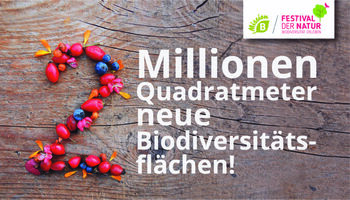 Mission B: Zwei Millionen Quadratmeter Biodiversität