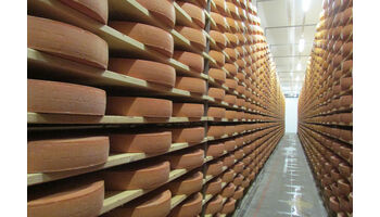 Eindrückliche Exportsteigerung von Schweizer Käse
