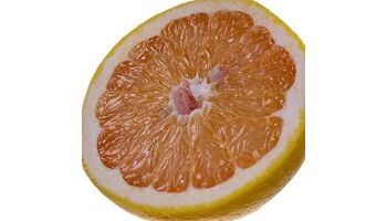 Grapefruits sind bitter und helfen beim Fettabbau.