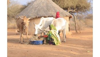 HEKS baut Nothilfe für die von Dürre und Hungersnot betroffenen Menschen am Horn von Afrika weiter aus