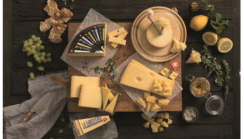 Exporthoch für Schweizer Käse