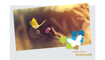 Mission B und TierWelt: Preis für Biodiversität «Goldener Schmetterling 2024» 
