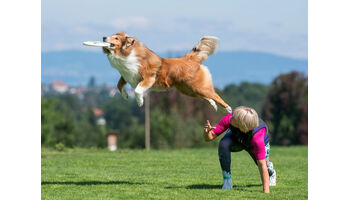 Europameisterschaft im Hundefrisbee