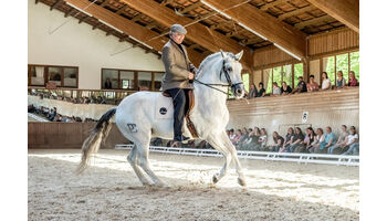 Exclusive Premiere am Mercedes-CSI Zürich: Vertikal-1: Reiten in Wahrheit - Ein Buch keines wie dieses! – wie ist das möglich?