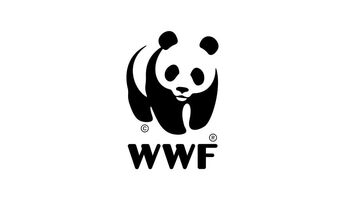 WWF-Bericht - 2,4 Millionen Quadratkilometer globaler Waldverlust seit 1990