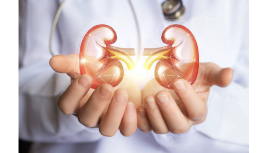 Nieren und Herz - das lebenswichtige Duo, das sich gegenseitig belastet