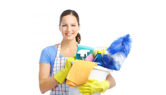 Zum Pressefach von Haushaltshilfen24