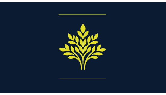 Zum Pressefach von Beni Keller