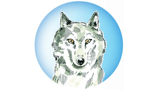 Zum Pressefach von sonnenwald1501