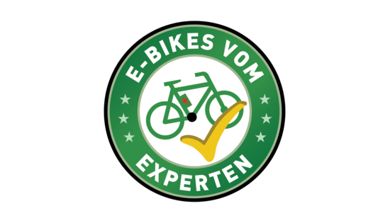 Zum Pressefach von e-motion experts GmbH