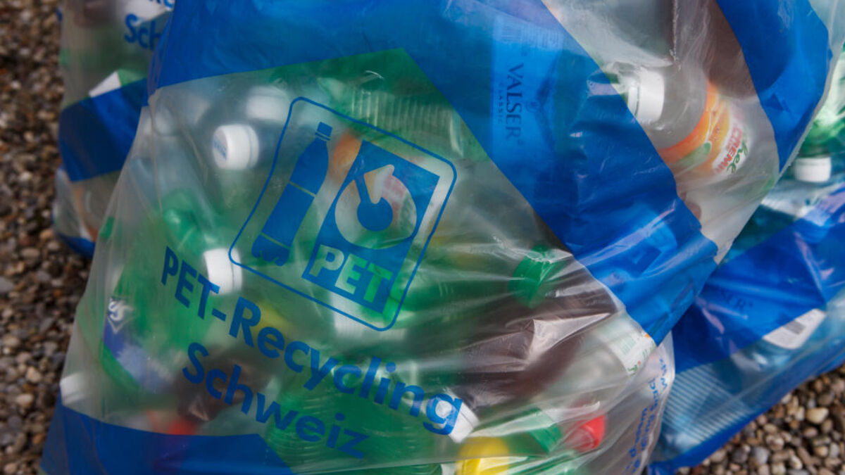 Verein PRS PETRecycling Schweiz PETRezyklat für das Jahr 2019