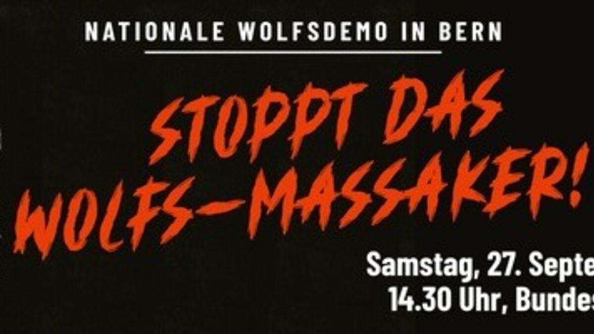 Nationale-Wolfsdemonstration-am-27-September-2025-in-Bern