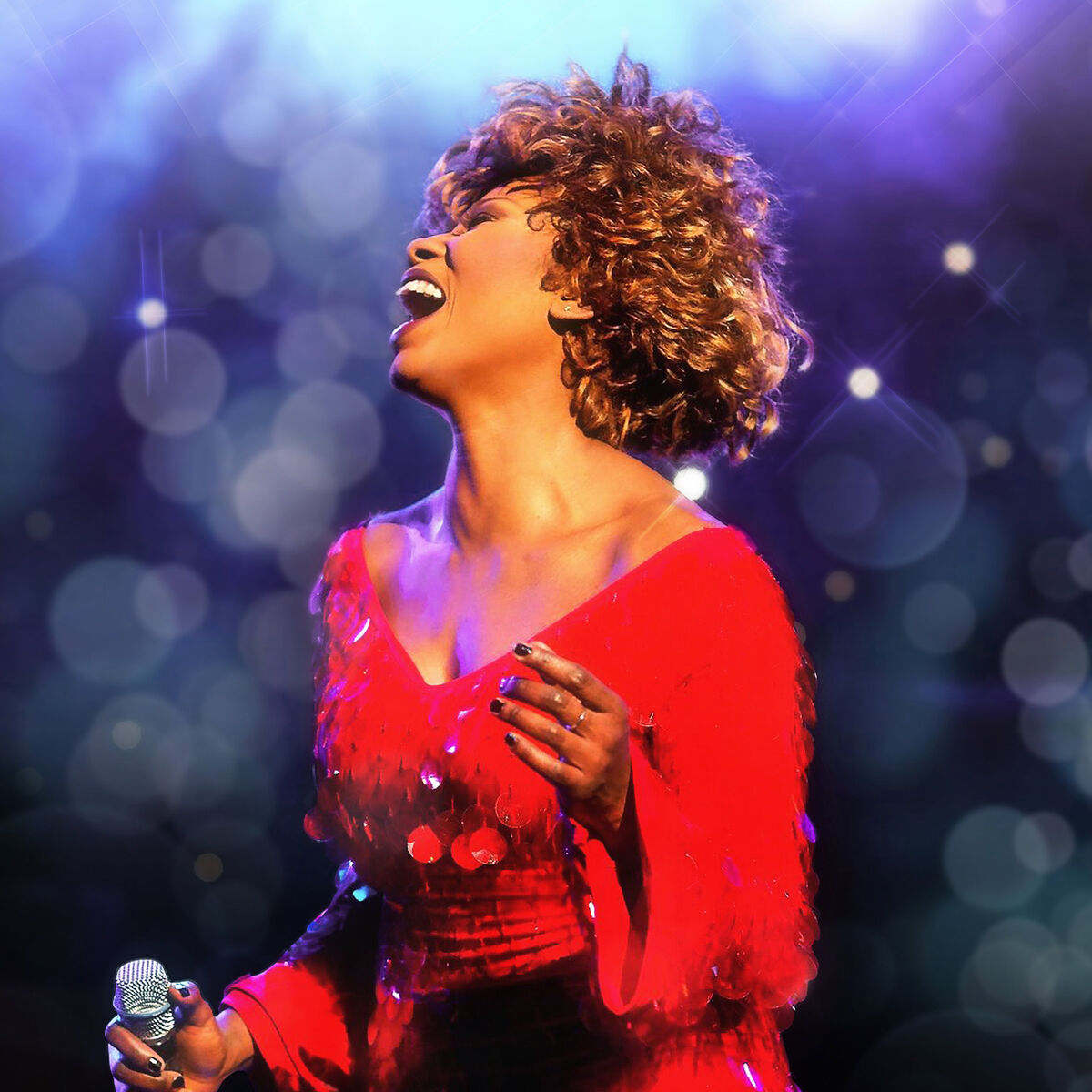 Simply the Best – Das Musical: Das Leben von Tina Turner | Presseportal ...