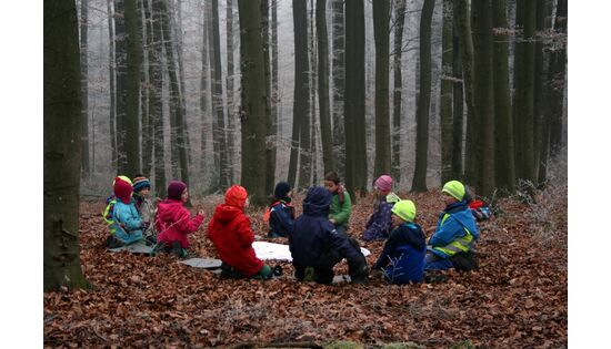 Bild des Benutzers Verein Waldchind Züri