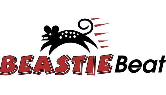 Bild des Benutzers Shop2 Online Shops by Beastie Beat Trading GmbH